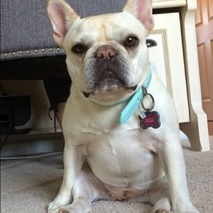 Meet your Posher, Chloe